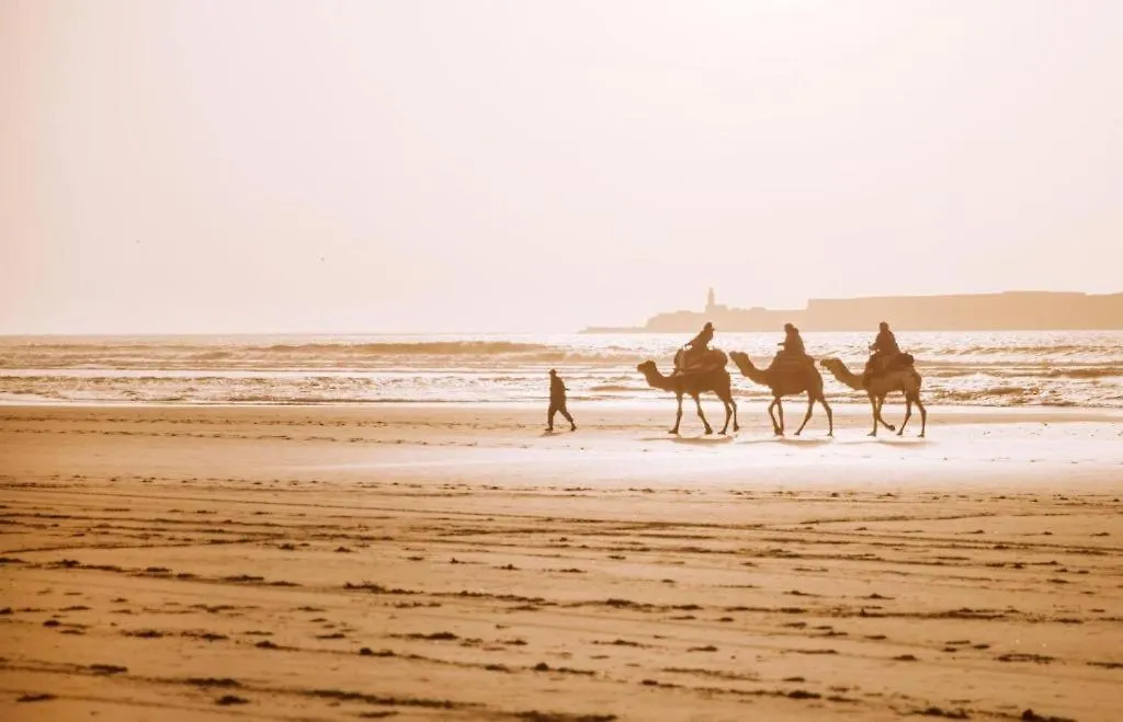Aliya Luxury Apartment - Corail - Agadir